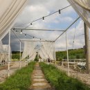 지내고탄로 이미지