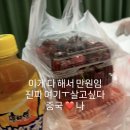 마르니뷰티 | 엄마랑 간 상하이 여행 후기 (3일차)