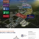 라임교육 이미지