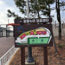 유기견 입양 시흥동물누리보호소 입양절차 혜택 코코이야기