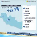 영월종합상가시장 이미지