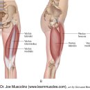 정성PT&운동센터 이미지