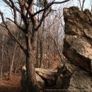 수리산산림욕장 이미지