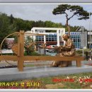 보성강4 이미지
