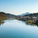 대황강 출렁다리 화장실 이미지