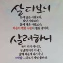 하나 둘 셋 넷 이미지