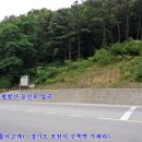 호병골 이미지