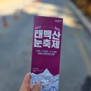 별자리 조형물(12 | 태백산 눈축제 가볼만한곳｜강원도 태백 뚜벅이 기준으로 본 현장 정보 정리