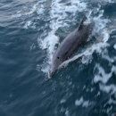 강릉세탁소 이미지