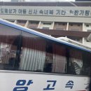 5월은 축제의 달과 텅장