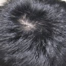 파리스헤어 이미지