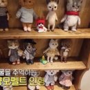 고래곰탕 이미지