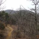 한일초교 이미지