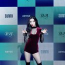 선미통돼지시지 이미지