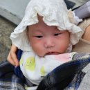 프랭크버거분당 이미지