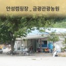 금광농원 | 안성 금광관광농원 캠핑장 6월 방문 후기