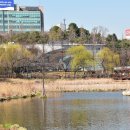 보라매공원 이미지