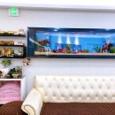 맑은손지압안마원 이미지