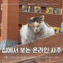 운명을 읽다 사주명리학(중급) | 운명전쟁49 보다가 궁금해져서 받아본 카톡 사주리포트 정향