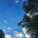 조정훈치과의원 이미지