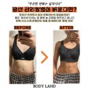 바디랜드 이미지
