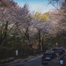 미성동-38 이미지