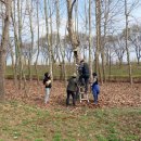 나무고아원 이미지