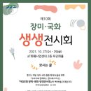 장미공판장 이미지