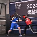 팀베어스복싱짐 이미지