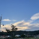 8월 밀린 일상