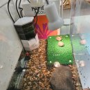 타이어 프로 언양점 | 이야!! 개학이다