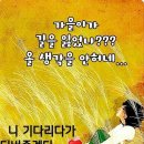 9월21일 토요일 제주사랑방 아침인사 이미지