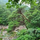 지리산 청산유수펜션 이미지