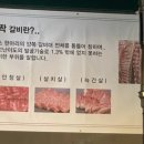 갑부한우짝갈비