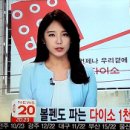 도도유통