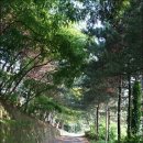 KT밀양지사 이미지