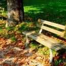 마두공원(정발초 옆) 이미지