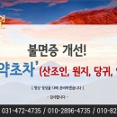 태백산약초원 이미지