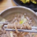 도토리아