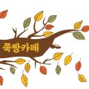[단독]'프듀48' 허윤진, 사쿠라·김채원 하이브 新걸그룹 합류 이미지