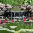 연못이 있는 풍경 이미지