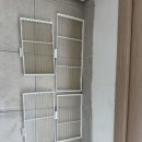 블루시티드림 이미지