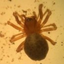 산호동509 이미지