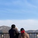 스테이수목 이미지