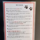 경포몽애견펜션 이미지