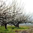 둘레길유랑 이미지