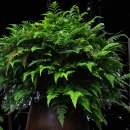 송정하우스 이미지