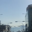 물고기 미포 이미지