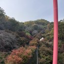 정완농장 | 화담숲 구경후 가볼만한 근처 곱창 맛집 &amp; 카페 추천