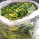 부영농원 이미지